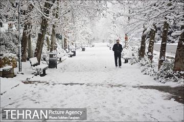 بارش برف زمستانی در تهران-2 15