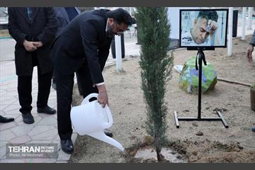 جشن درختکاری در منطقه 18 5