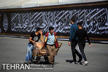 شانزدهمین نمایشگاه فرهنگی عطر سیب 25