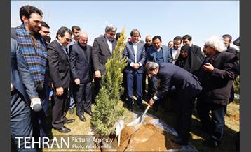 آیین کاشت درخت صلح و دوستی 42