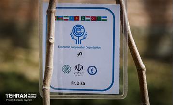 آیین درختکاری در منطقه‌5 30