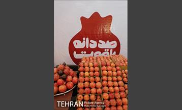 هفتمین جشنواره انار فرهنگسرای اشراق 16