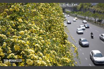 هوای بهاری منطقه 5 4
