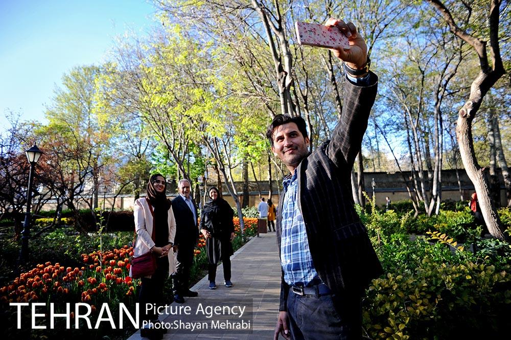 رویش گل های لاله در باغ ایرانی 32