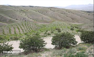 بازدید اصحاب رسانه از کمربند سبز 16