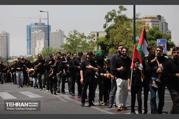 دسته عزاداری دانشگاه امام صادق(ع) در ظهر تاسوعا 19
