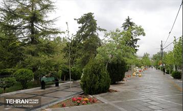 بارش باران بهاری در تهران - 2 43