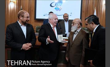 دیدار شهردار وین از شورای شهر تهران 24
