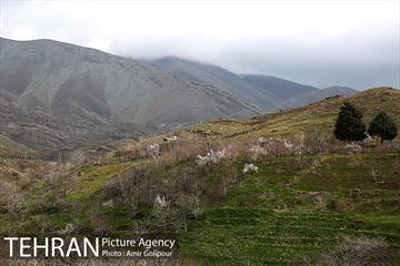 وردیج ، دنیایی از زیبایی 5