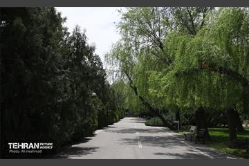 بوستان بانوان نرگس 37