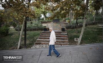 طبیعت پاییزی باغ راه فدک تهران 27