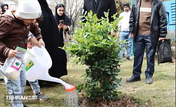 غرس ۱۱۰۰ نهال در منطقه ۱۱ 29
