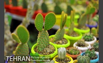 شانزدهمین نمایشگاه بین المللی گل و گیاه تهران - 2 32