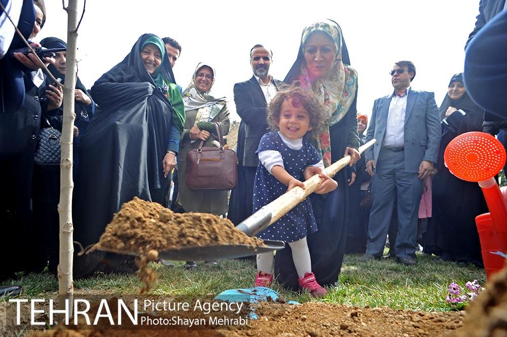 مراسم درختکاری به مناسبت روز مادر 42