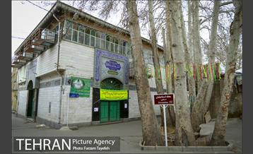 آرایش درختان کهنسال توت در محله کن 15