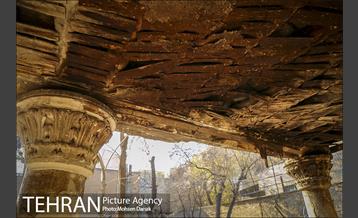 تاریخ رها شده؛ باغ کیهانی 21