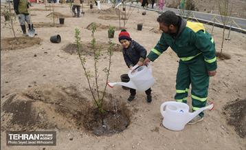 آیین روز درخت‌کاری و پایان پروژه کاشت ۲۵۰۰ هکتار کمربند سبز پایتخت  8