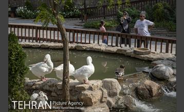 باغ پرندگان فاز دوم 8