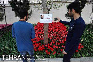 پیاده راه لاله مادران 22