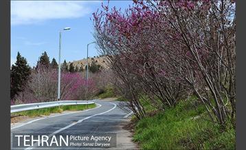 طبیعت بهاری بوستان سرخه حصار‎ 19