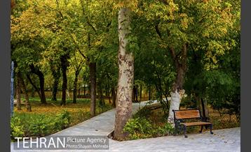 پاییز پارک شهر 30