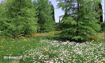 طبیعت بهاری در باغ ملی گیاهشناسی ایران 19