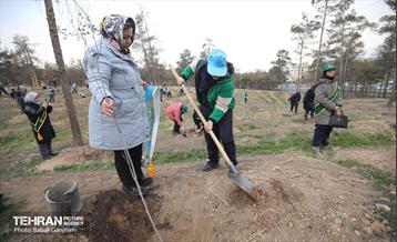 غرس 2000 نهال در بوستان جنگلی سرخه‌ حصار 1