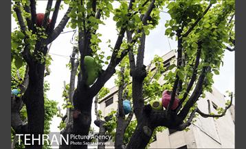 جشنواره بهارستان 40