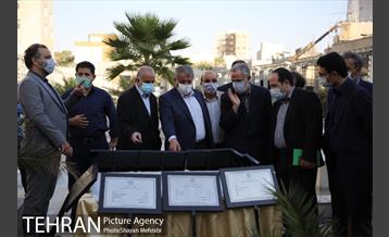 آیین نکوداشت درختان بالای صد سال تهران 12