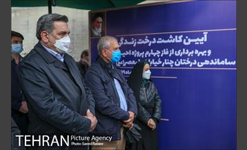 آئین کاشت درخت زندگی 10