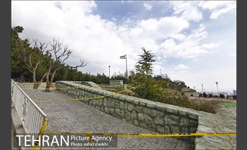 روز طبیعت متفاوت در شهر تهران 2 27