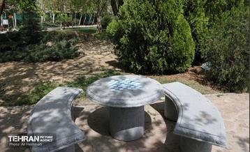 بوستان بانوان نرگس 32