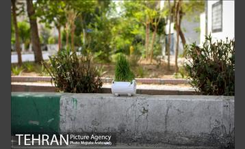 روز طبیعت بدون انسان 11