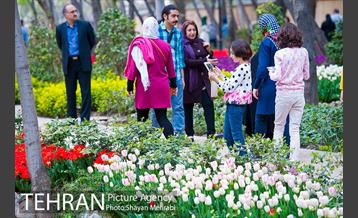 روش گل های لاله در باغ ایرانی 4