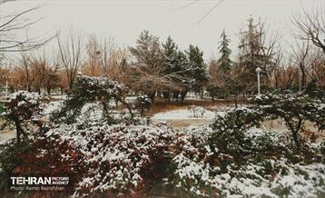 روز برفی در منطقه 8 26