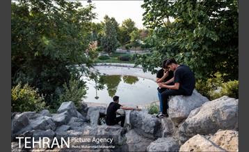 شهرنگار؛ بوستان قائم 26