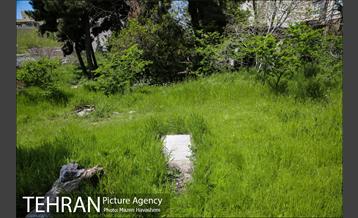 گورستان ده ونک 8