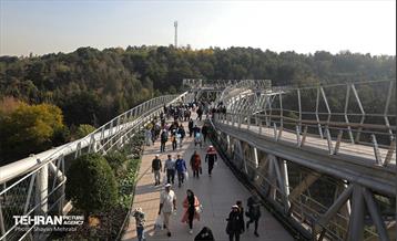 همایش‌ پیاده‌روی خانوادگی کارکنان شهرداری تهران 30