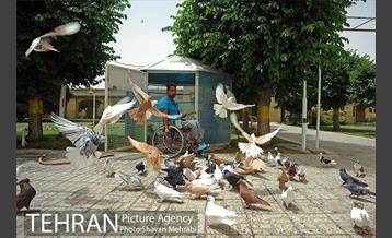 آسایشگاه کهریزک جایی برای زندگی است نه زنده ماندن 28