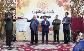 ششمین جشنواره خرمالو 5