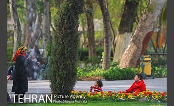 رویش گل های لاله در پارک شهر 41