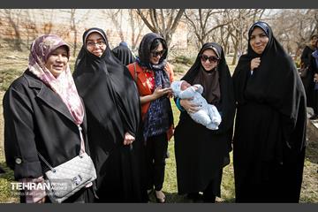 آیین درختکاری در منطقه‌5 3