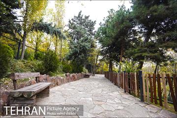 طبیعت پاییزی بوستان فدک 19
