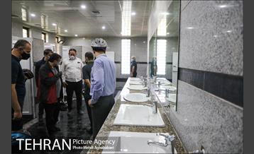 پویش سه شنبه های بدون خودرو در منطقه 8