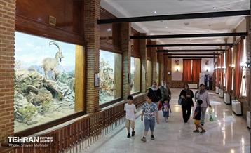 افتتاح اولین سامانه هوشمندسازی موزه‌ها ویژه نابینایان 1