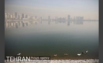 آلودگی هوای پایتخت 7