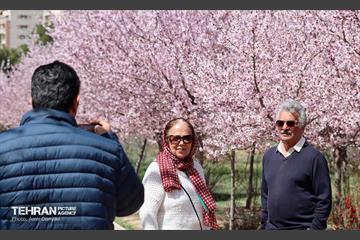 شکوفه‌های بهاری در بوستان سمن‌ها 15