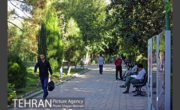 بوستان هنرمندان (ایرانشهر) 24