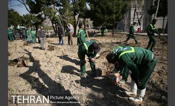 غرس نهال در بوستان بهاران 20