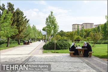 بوستان پلیس 30